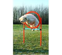 TRIXIE Cerceau d'agilité pour chiens 115 x 3cm plastique