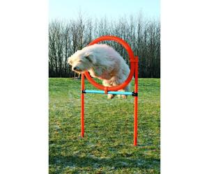 TRIXIE Cerceau d'agilité pour chiens 115 x 3cm plastique