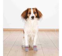 Trixie Chaussettes pour chien - Gris - XL