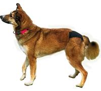 TRIXIE - Chien Slips de protection noir - M