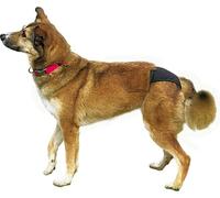 TRIXIE - Chien Slips de protection noir - XL