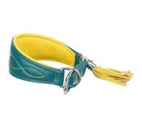 Trixie Collier Active Comfort pour lévriers, Taille XS-S : Tour de Cou 24-31 cm/50 mm Bleu pétrole, Collier Extra Large pour Petits Chiens, protège la région de la Gorge, avec Rembourrage, 18966