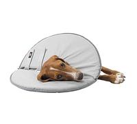 Trixie Collier de Protection pour Chien Taille S 30-34 cm/19.5 cm