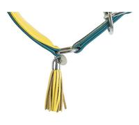 Trixie Active Komfort 18965 Collier pour lévriers Taille XS : Tour de Cou 21-26 cm/40 mm Bleu pétrole - Collier Extra Large pour très Petits Chiens - Protège la région de la Gorge, avec Rembourrage