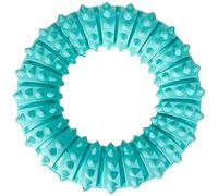 Trixie Jouet pour chien Denta Fun Anneau – caoutchouc naturel, menthe fraîche, Ø 12 cm, 1 pièce