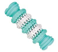 Trixie Denta Fun Os au goût de menthe - 11 cm