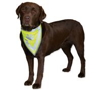 Foulard réfléchissant, L?XL: 43?60 cm pour chien