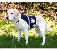 Trixie Flash Gilet de sécurité pour chiens - S