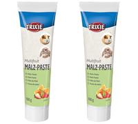 TRIXIE - Friandise pour Rongeurs - Pâte De Malt Aux Fruits - 100 GR, (Lot de 2)