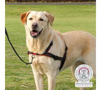 Trixie Harnais D'Entraînement Lead'N'Walk Doux - L-XL