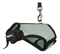 TRIXIE Harnais souple avec laisse de 1,20 m - pour petits animaux - tour de ventre réglable en continu entre 18 - 25 cm - fermeture velcro et encliquetable - différentes couleurs - choix aléatoire - 61512