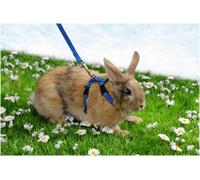 Trixie Harnais et Laisse pour Lapin, Couleurs Aléatoires, 6260