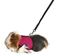 TRIXIE Harnais souple avec laisse de 1,20 m - pour petits animaux - tour de ventre réglable en continu entre 18 - 25 cm - fermeture velcro et encliquetable - différentes couleurs - choix aléatoire - 61512