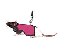 TRIXIE Harnais souple avec laisse de 1,20 m - pour petits animaux - tour de ventre réglable en continu entre 12 - 18 cm - fermeture velcro et encliquetable - différentes couleurs - choix aléatoire - 61511
