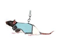 TRIXIE Harnais souple avec laisse de 1,20 m - pour petits animaux - tour de ventre réglable en continu entre 12 - 18 cm - fermeture velcro et encliquetable - différentes couleurs - choix aléatoire - 61511
