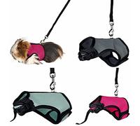 Harnais Soft avec laisse pour Cochon d'inde 18 - 25 cm