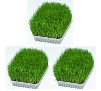 TRIXIE Herbe Tendre pour Chats - Graines d'herbe à Faire Pousser soi-même - Riche en vitamines - 100g - 4232 (Lot de 3)