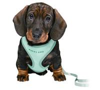 Trixie JUNIOR SOFT harnais avec laisse pour chiots, M-L : 36-50 cm, 2 m, mint