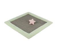 Trixie Junior Tapis À Gratter Gris/Mint Pour Chatons 47x47 Cm Sisal