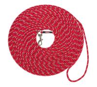 Trixie Laisse de dressage Junior pour chiots XXS-XS — 8 m/4 mm Rouge