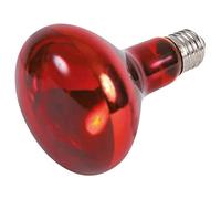 Trixie Ampoule chauffante infrarouge 150W