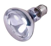 Trixie Lampe Spot Néodyme 80 × 108 mm 100 W