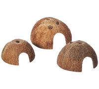 Trixie Maison en Noix de Coco 100% Naturel pour Reptile/Amphibien
