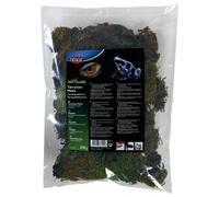 Trixie Mousse de Terrarium, Substrat pour Feuchtterrarien 200 G, Neuf
