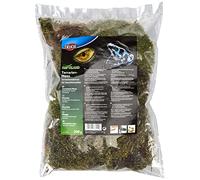 TRIXIE Mousse pour terrariums, Substrat humide, 200 g - augmente et maintient l'humidité dans le terrarium,