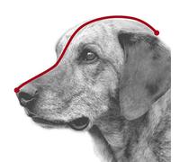 Trixie Muselière Julius-K9 Peau de Buffle pour Chien Noir 34 cm