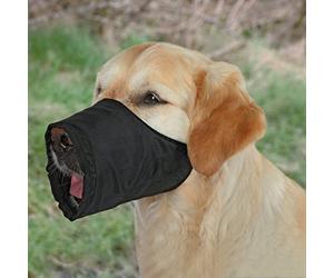 TRIXIE Muselière pour chiens - 12 cm de circonférence de la muselière - 4,3 cm de longueur de la muselière - par ex. pour les visites chez le vétérinaire ou les voyages en train