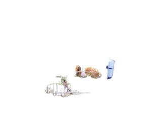 TRIXIE Natura enclos, galvanisé, 6 éléments de 63 × 60 cm pour Lapin