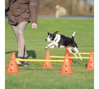 Trixie Pylon obstacle set of 3 - ø 23 × 30 cm/78 cm