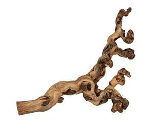 TRIXIE Racines de vigne sablées 5 pièces 30-40 cm