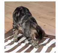 Trixie Tapis D'Activité Pour Chat - 70 X 50 Cm