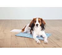 Trixie Tapis de refroidissement pour chiens et chats, 28776, 40 x 30 cm, bleu clair, refroidit pendant plusieurs heures, par contact corporel
