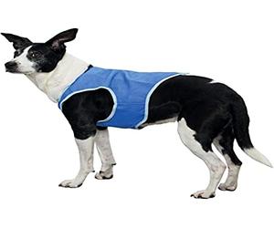 Trixie Veste Rafraîchissante pour Chien Taille S Bleu 1 Unité