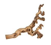 TRIXIE Vigne irradiée d'eau - idéal pour grimper - reptiles, oiseaux, lapins et petits rongeurs - entre 55 et 75 cm - les produits naturels peuvent varier en taille et en forme - 1 pièce - 76171