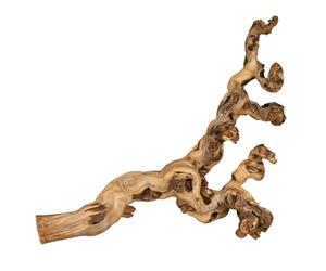 TRIXIE Vigne irradiée d'eau - idéal pour grimper - reptiles, oiseaux, lapins et petits rongeurs - entre 55 et 75 cm - les produits naturels peuvent varier en taille et en forme - 1 pièce - 76171