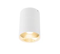 Trizo 21 Bily 16 Up Spot Blanc/ Or