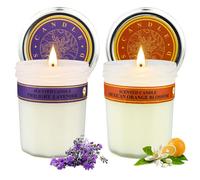 TRMLBE Bougie parfumée Bougies d'aromathérapie Set cadeau 210 g, 2 pièces Autocollant Can Glasses Set de décoration de bougies parfumées, type C