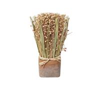 Trockenblumen Gras-Mix im Terracotta Topf 7x23cm rosa