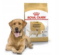 Trockenfutter für Hunde Royal Canin BHN Labrador Adult 12 kg
