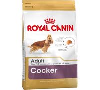 Trockenfutter für Hunde Royal Canin SHN Breed Cocker 12 kg