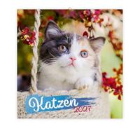Trötsch Broschürenkalender Katzen 2027
