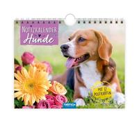 TRÖTSCH - Notizkalender Hunde 2026 mit 12 Postkarten | Notizkalender Querformat