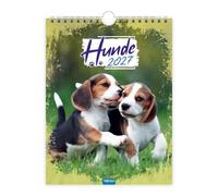 Trötsch Notizkalender zum Hängen Hunde 2027