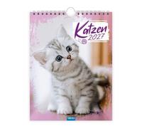 Trötsch Notizkalender zum Hängen Katzen 2027