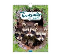 Trötsch Notizkalender zum Hängen Tierkinder 2027