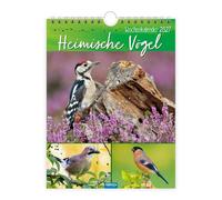 Trötsch Wochenkalender zum Hängen Heimische Vögel 2027